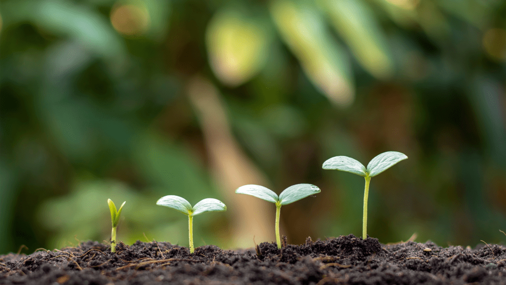 Holding Space for&nbsp;Poets