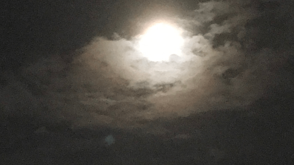 PST Full Moon Poetry Contest Offers All Entrants&nbsp;Value